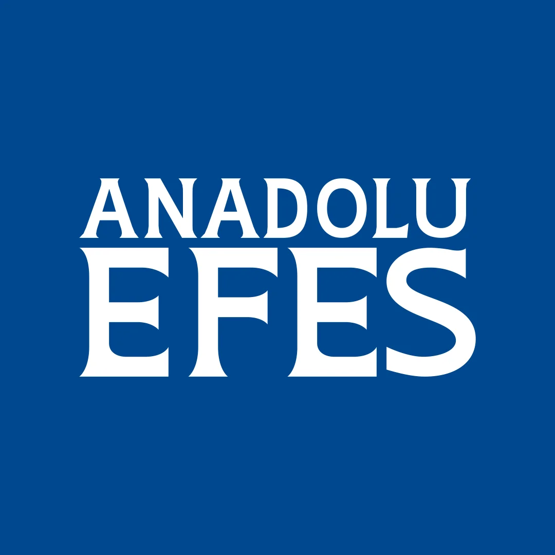 AEFES Hisse
